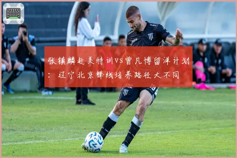 张镇麟赴美特训vs曾凡博留洋计划：辽宁北京锋线培养路径大不同