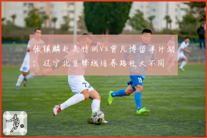 张镇麟赴美特训vs曾凡博留洋计划：辽宁北京锋线培养路径大不同