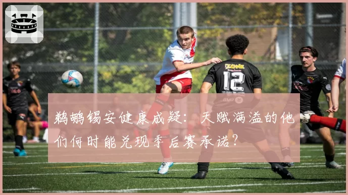 鹈鹕锡安健康成疑：天赋满溢的他们何时能兑现季后赛承诺？